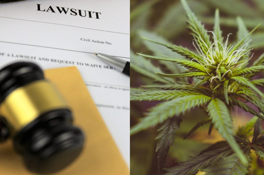 Lawsuit Alleges Bias In New York Cannabis Equity Program, Lawyer Slams 'Absurd And Offensive' Claims
