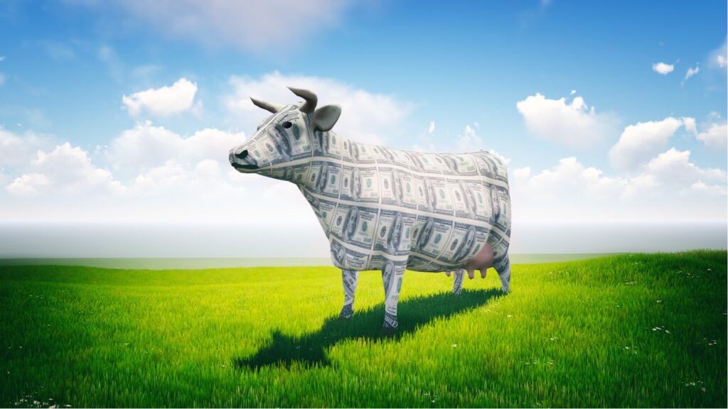 Cash Cow Stocks - 3 Cash Cows to Boost Your Confidence During the February Chill