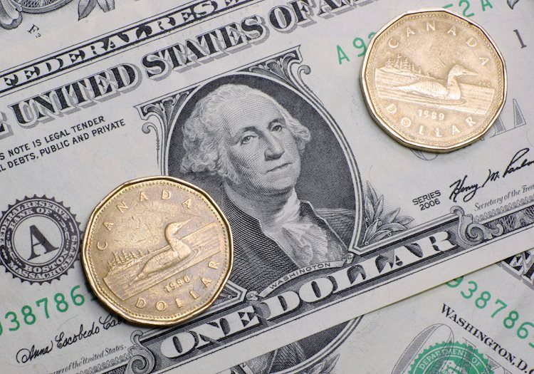 Canadian Dollar on the firm side in thin Monday markets
