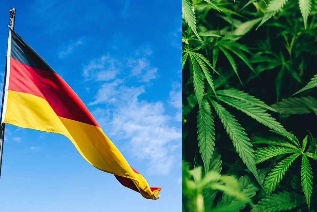Cannabis Stocks Jump As Germany Legalizes Marijuana Possession - Aurora Cannabis (NASDAQ:ACB), Cresco Labs (OTC:CRLBF)