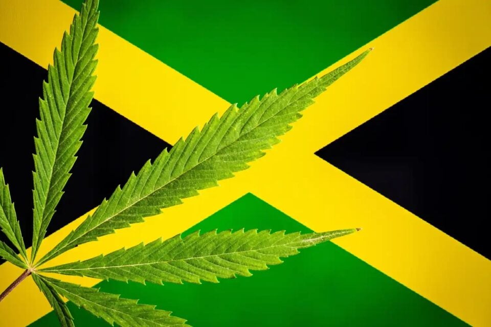DEA-sanctioned: Jamaica Sends First-ever Legal Cannabis Products To US For Analytical Testing