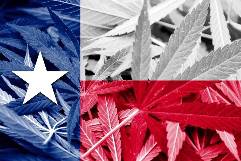 GOP Attorney General Battles Five Texas Cities Over Voter-Approved Marijuana Laws, What's Next For Cannabis Legalization?
