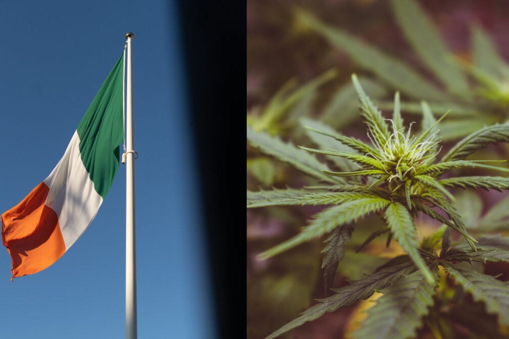 Irish Doctors Against Cannabis Decriminalization, Say 'It's Anti-Health': Government Proposes Nine-Month Vote Delay On Decrim Bill