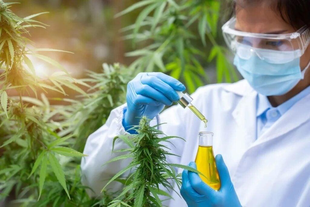 Medical Marijuana Testing: Mississippi Revokes License Of Lab That Covered 70% Of State's Supply, Raising Patient Access Concerns