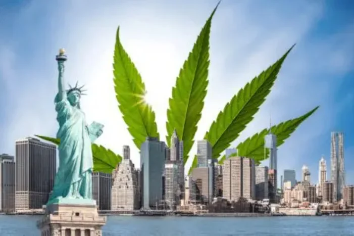 New York's Unlicensed Cannabis Fine Fiasco: $25M Remain Uncollected