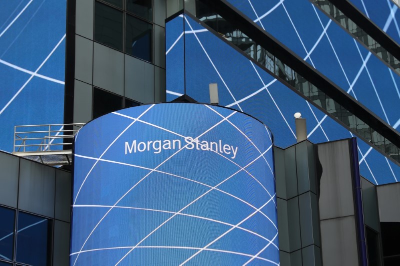 Stick with quality growth, says Morgan Stanley