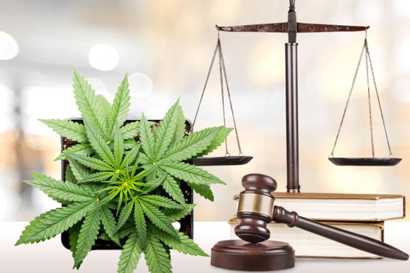 THC Cap Proposal Gains Momentum In Florida, Virginia To Treat Weed Like Alcohol As New York Cannabis Regulators Face Another Lawsuit - Trulieve Cannabis (OTC:TCNNF)