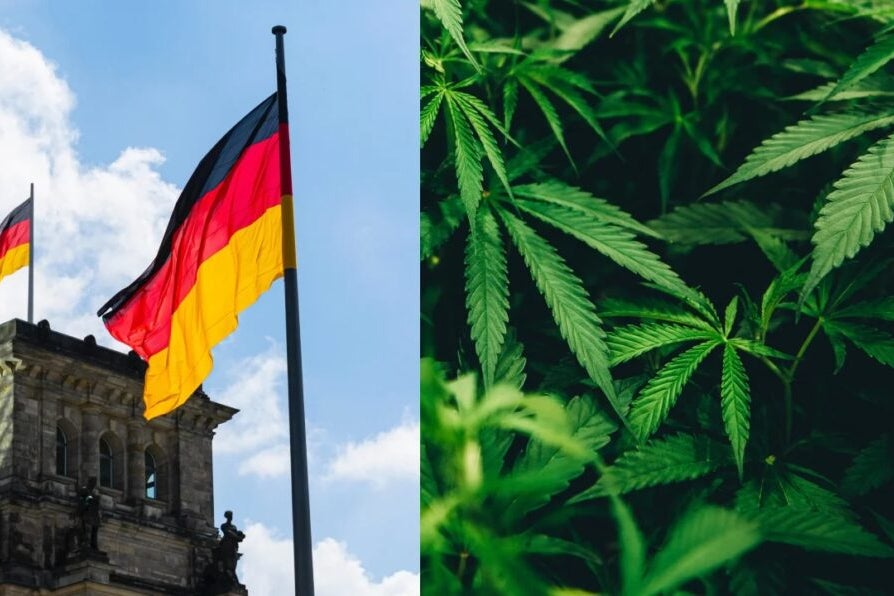 Tilray Medical Applauds German Bundestag And  Landmark Passage Of Medical Cannabis Act In Germany - Tilray Brands (NASDAQ:TLRY)