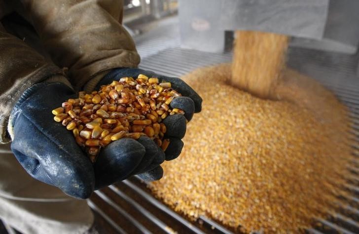 US farmers face harsh economics with record corn supplies in silos By Reuters