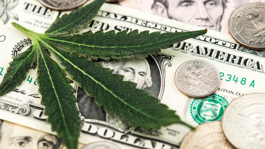 Cannabis Stocks - 3 Cannabis Stocks Ready to Light Up on Reform Rumors