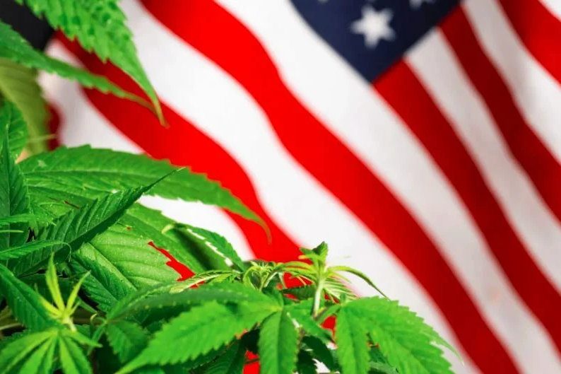 Arizona AG Restricts Hemp Sales, Maine Will Expunge Pre-Legalization Convictions, Ohio Cannabis School First To Earn Official Accreditation And More
