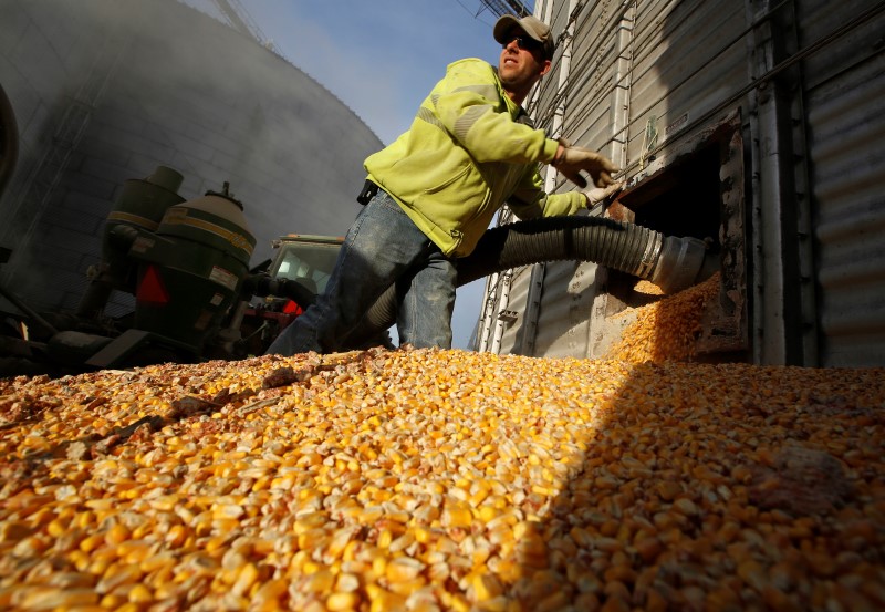Column-Brazil soy, corn crop estimates widen further after weather woes -Braun By Reuters