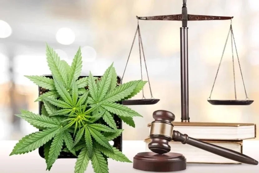 DEA Vs. White House: Agency Pushes Back On Medical Benefits Of Cannabis, Weed Stocks Wobble - Curaleaf Holdings (OTC:CURLF), Green Thumb Industries (OTC:GTBIF)