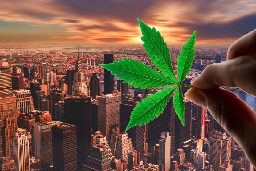 EXCLUSIVE: New York's Cannabis Licensing Under Scrutiny: Experts Weigh In