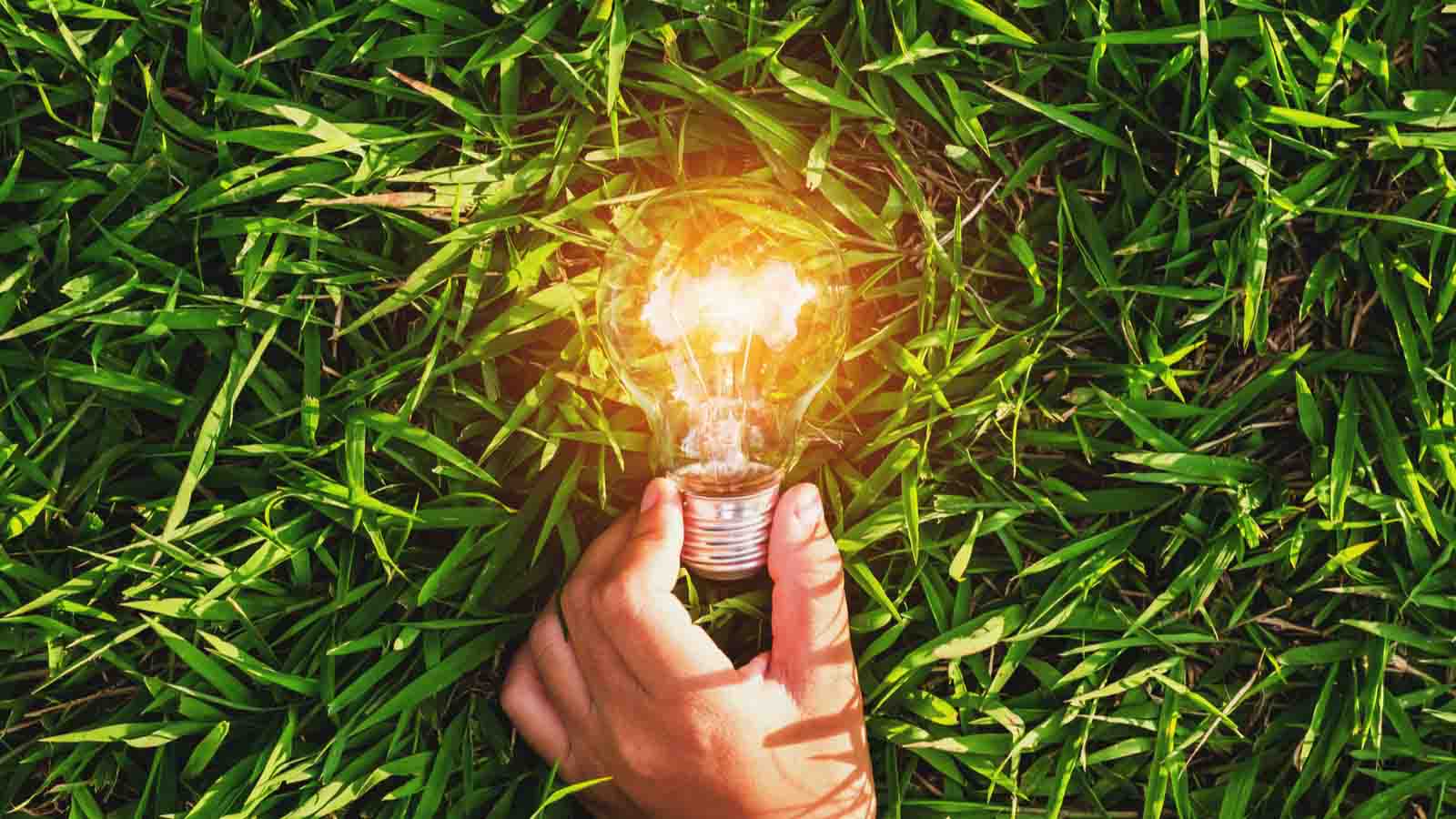 Eco-friendly stocks - Investing in a Greener Future: 3 Stocks for the Eco-Conscious Investor