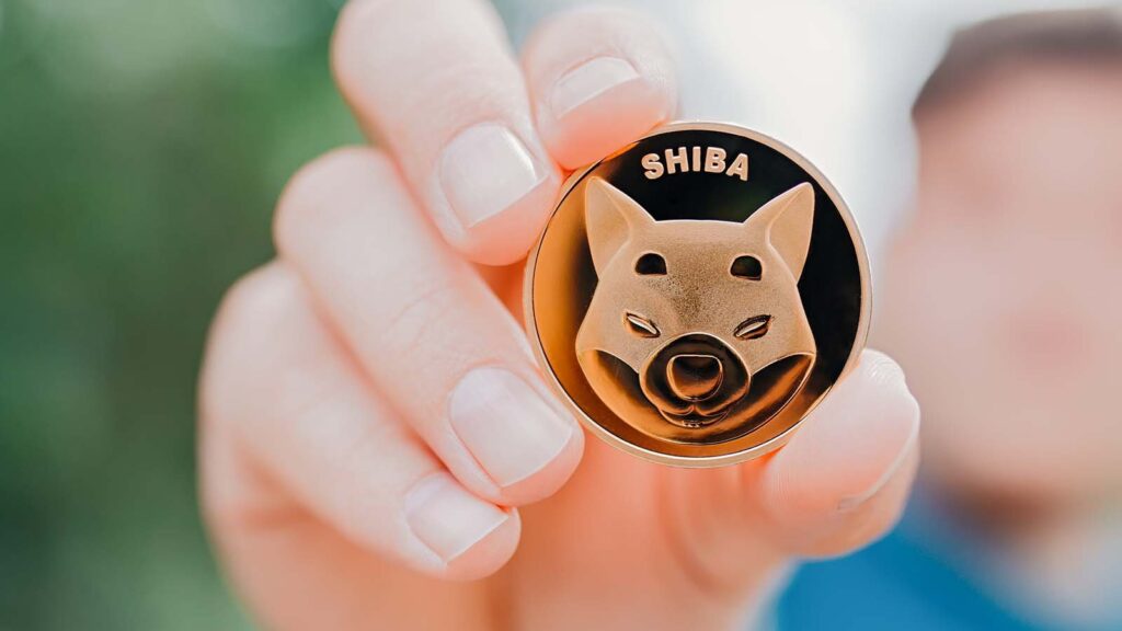 SHIB crypto - SHIB Crypto Alert: Shiba Inu Becomes the No. 10 Crypto by Market Cap