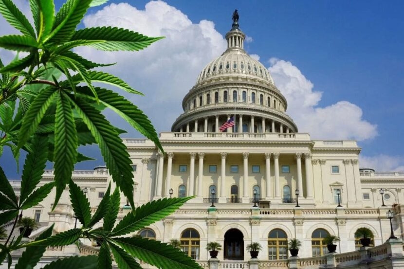 Sen. Sherrod Brown Leads Bipartisan Push For Cannabis Banking Act Despite Congressional Roadblocks