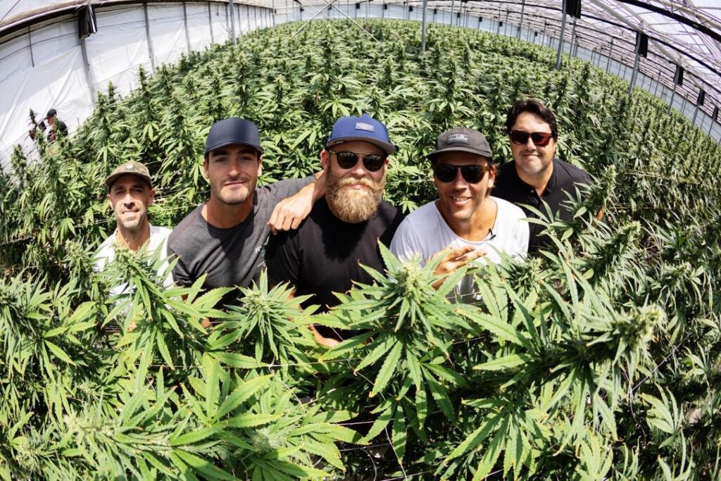 What To Know About Reggae Band Iration's Cannabis Strains