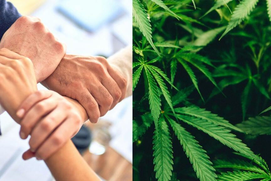 Cannabis (De)Unionization: Here's What's New On The Frontlines Of Labor Organizing Among Weed Workers - Cresco Labs (OTC:CRLBF), Colgate-Palmolive (NYSE:CL)