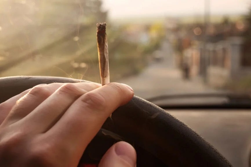 Detection Of Cannabis In Bodily Fluids Not Correlated With Driving Impairment, New Review Shows