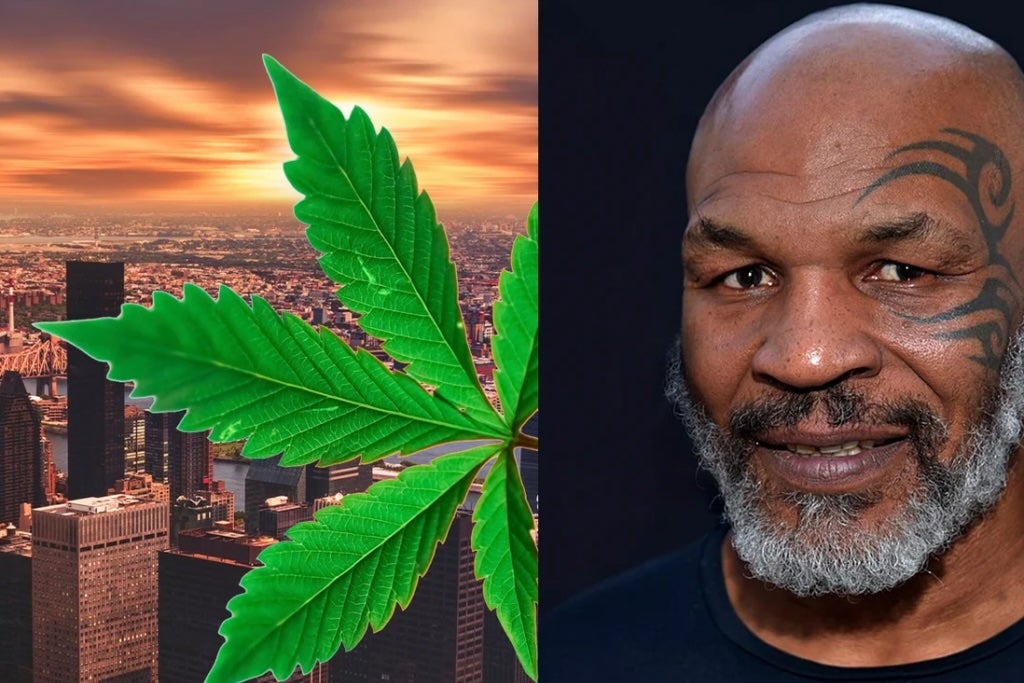 Exclusive: Mike Tyson's Cannabis Brand TYSON 2.0 Partners With PHCANN International In Germany & UK, Expanding European Footprint