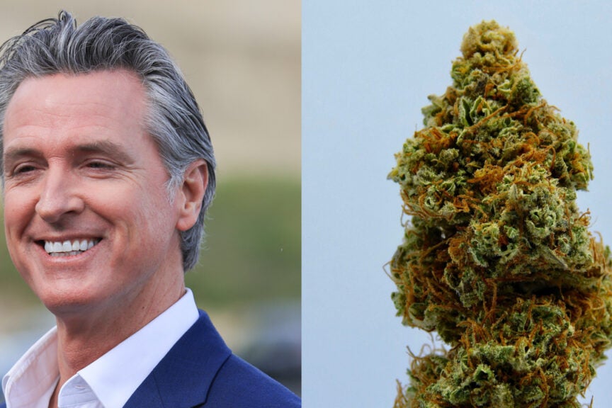In Just 3 Months California Seized Over $53M In Illegal Cannabis, Gov. Newsom Announces More 'Aggressive Actions'