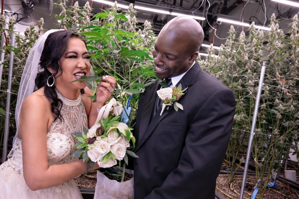 Las Vegas Cannabis Weddings To Launch 'Puff, Puff, Part Ways' Weed Divorce Party Package On 4/20 - Planet 13 Hldgs (OTC:PLNH)