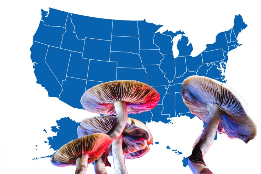 Psychedelics Reform Update: Missouri's $10M Budget, Maine's & Maryland's Study Groups, Oregon's Re-Crim And More