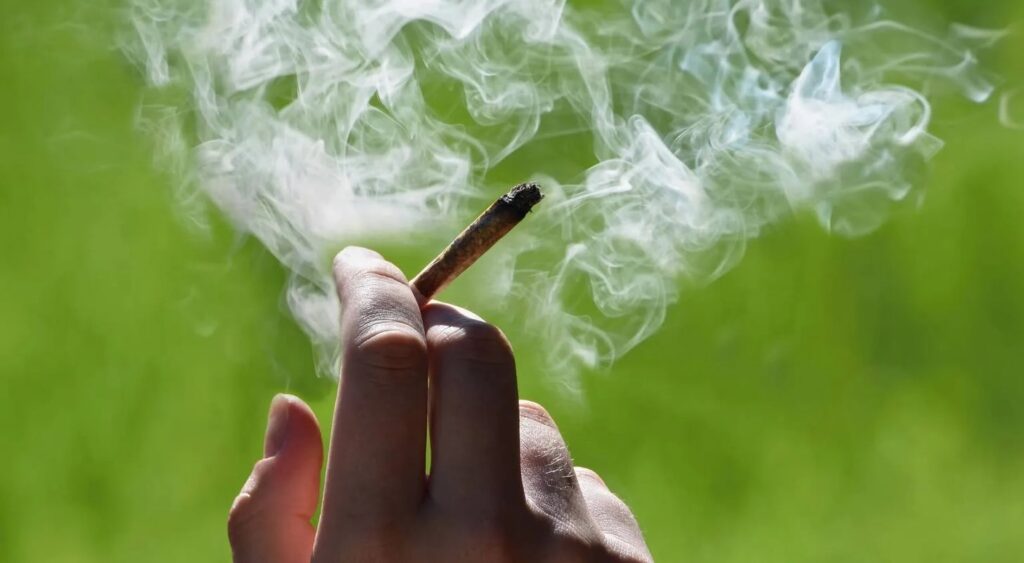 State-Level Cannabis Legalization Has Been A Stunning Success (Op-Ed)